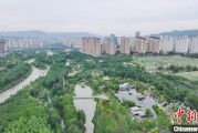 伊川西宁市举办六五环境日主题宣传活动